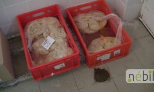 Közel 4 tonna húsipari terméket ártalmatlanított a NÉBIH