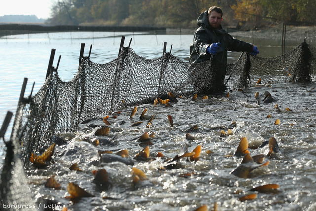 Ízes Magyarország: Öreg-tavi Nagy Halászfesztivál