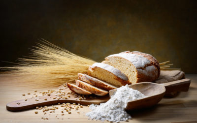 Szent István-napi kenyérverseny – felhívás